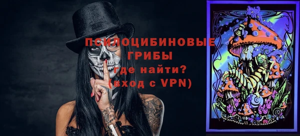 ПСИЛОЦИБИНОВЫЕ ГРИБЫ Ростов